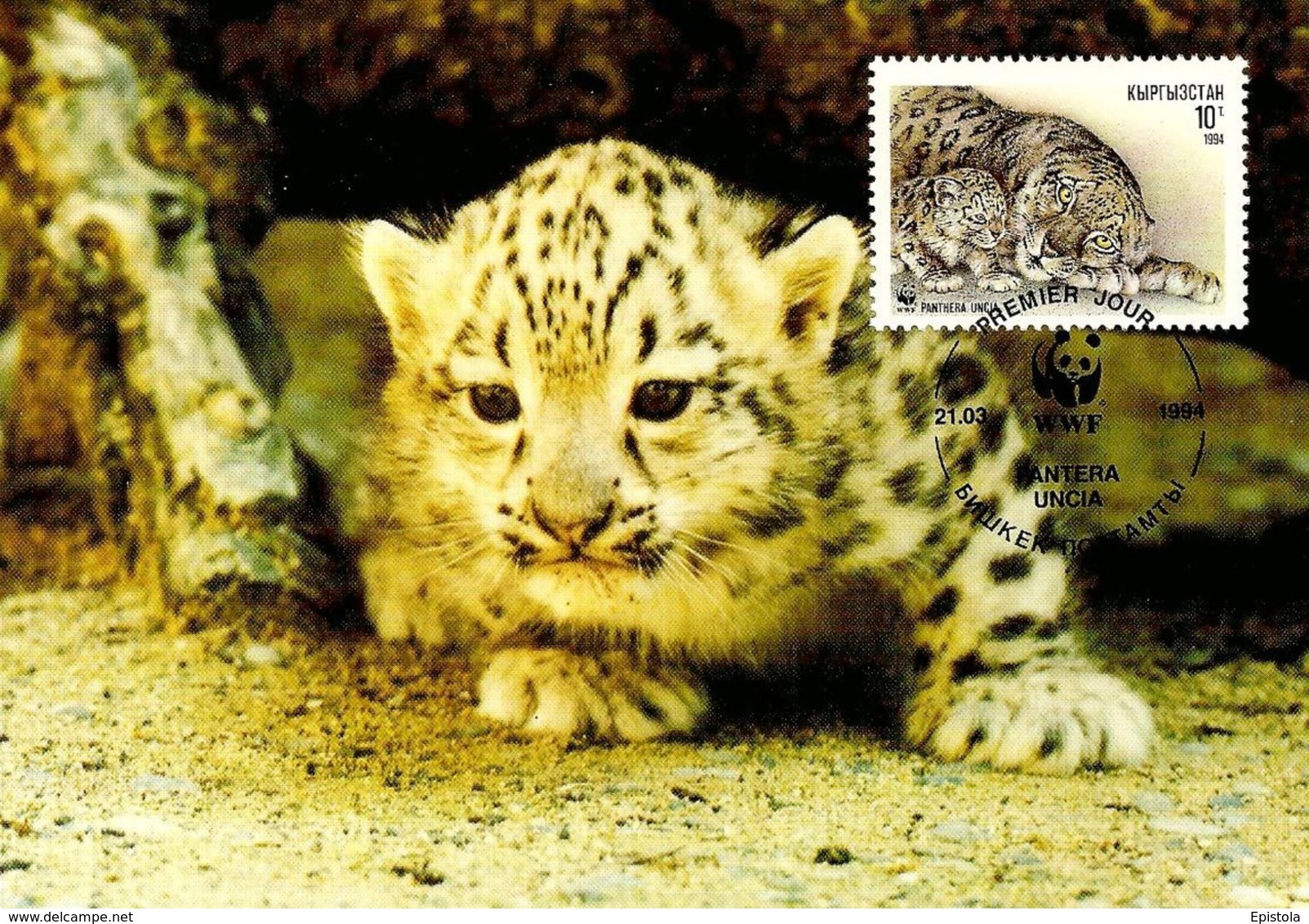 1994 - Kyrgyzstan Кыргызстан - Snow Leopard - Panthère Des Neiges WWF - Kirghizistan
