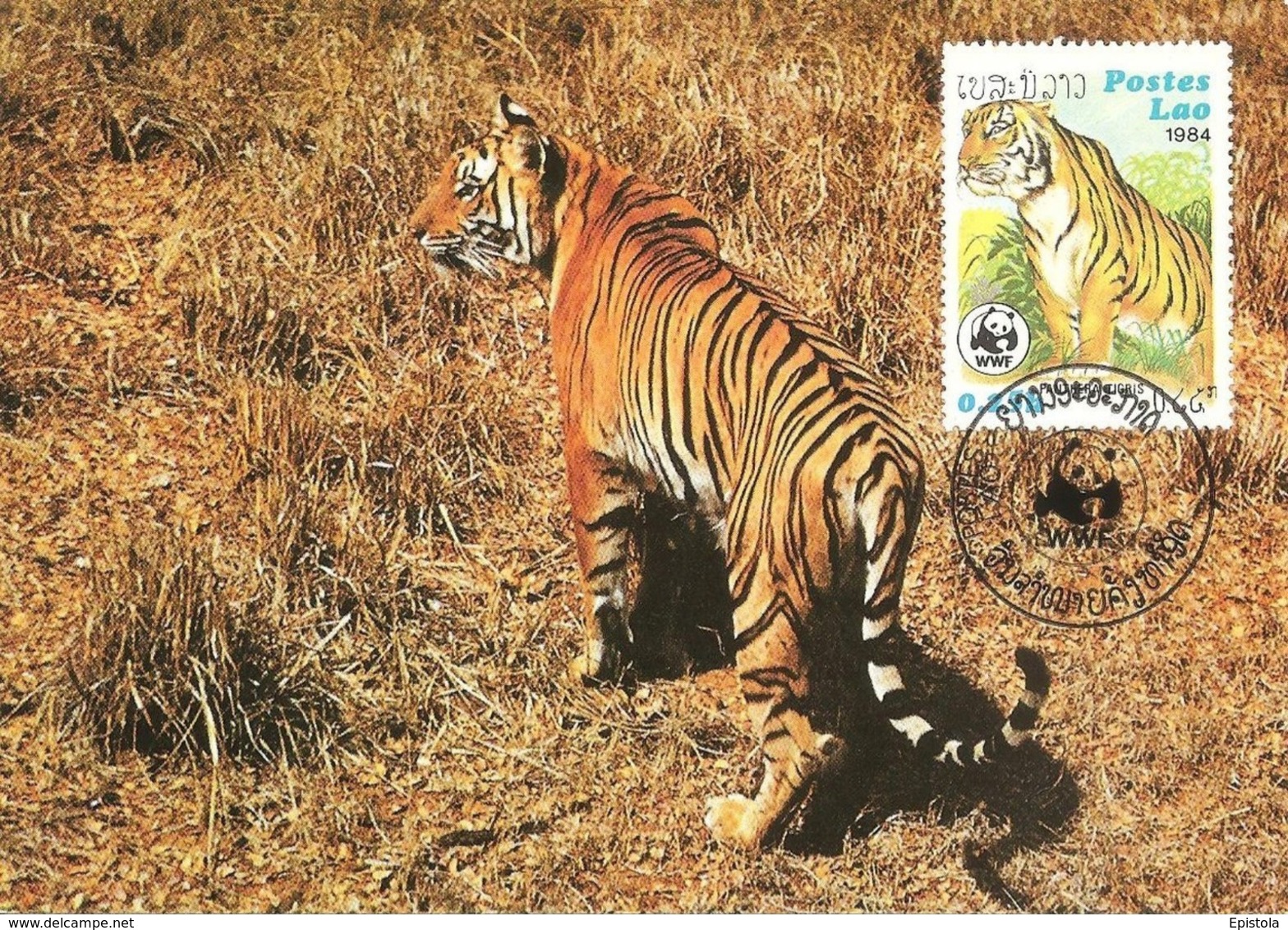 1984 - LAO (Laos)  TIGRE  Tiger  WWF - Laos