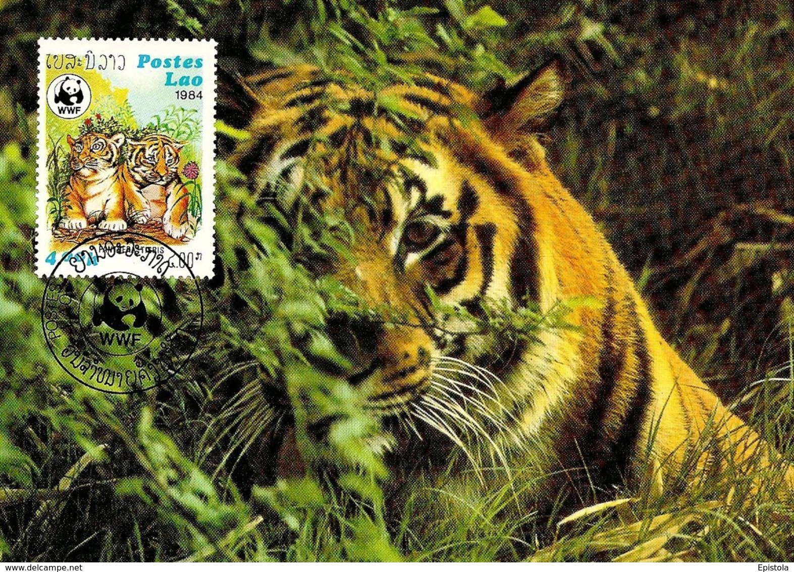 1984 - LAO (Laos)  TIGRE  Tiger  WWF - Laos