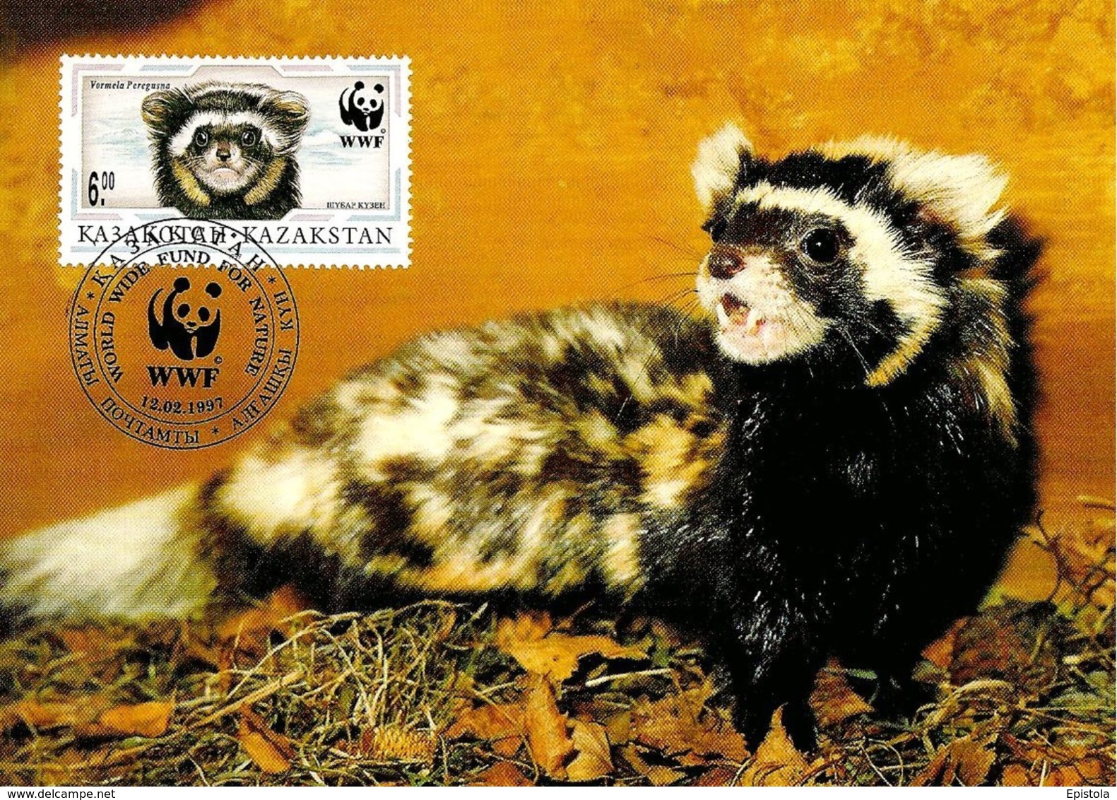 1997 - Kazakhstan Қазақстан - Marbled Polecat - Putois Marbré WWF - Kazakhstan