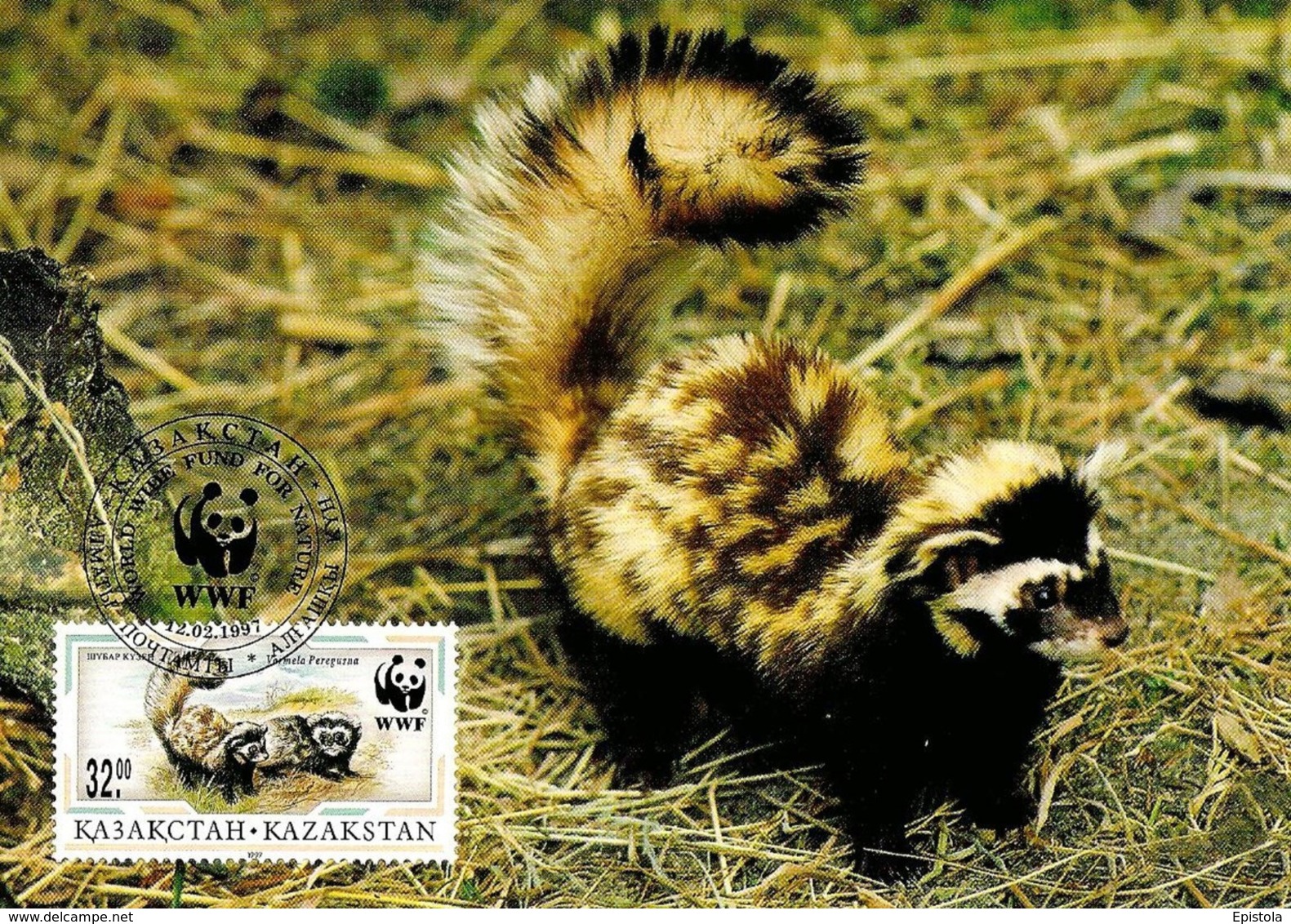 1997 - Kazakhstan Қазақстан - Marbled Polecat - Putois Marbré WWF - Kazakhstan