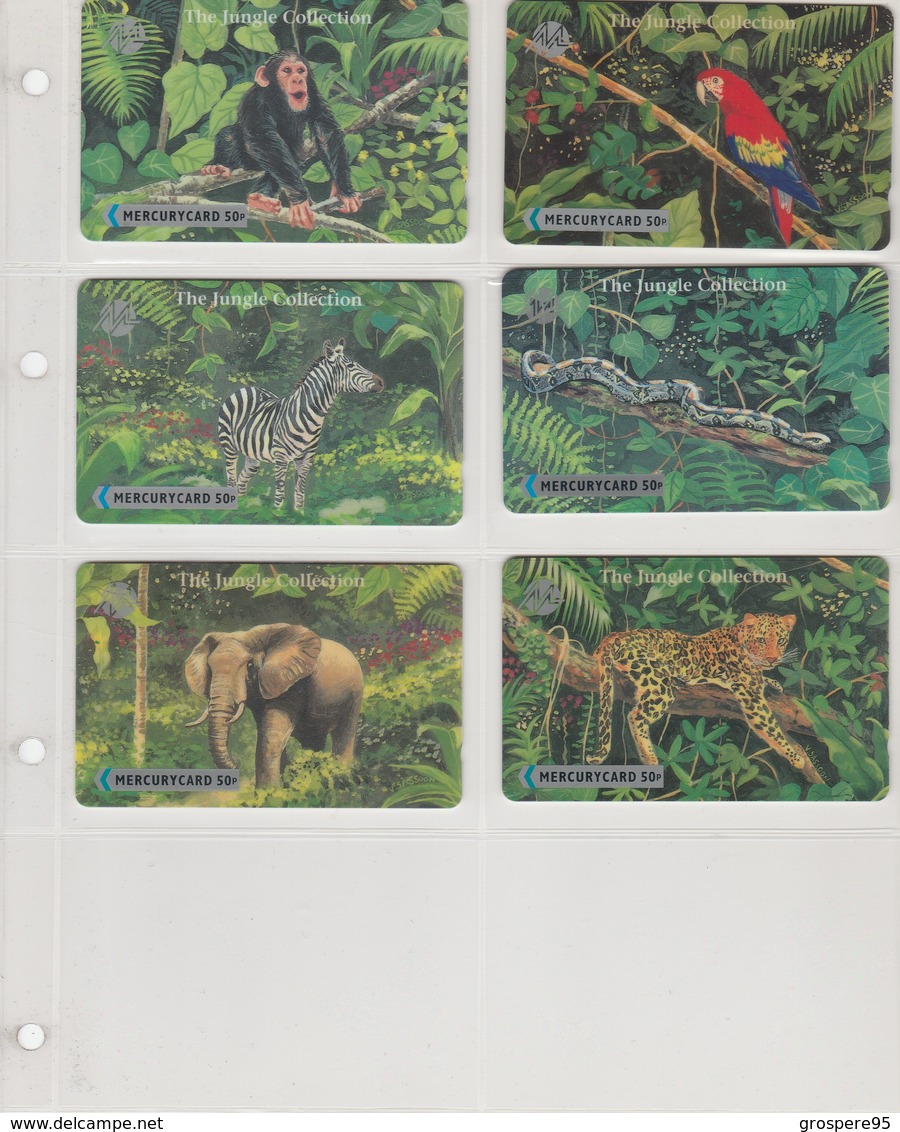 THE JUNGLE COLLECTION MERCURYCARD - [10] Colecciones