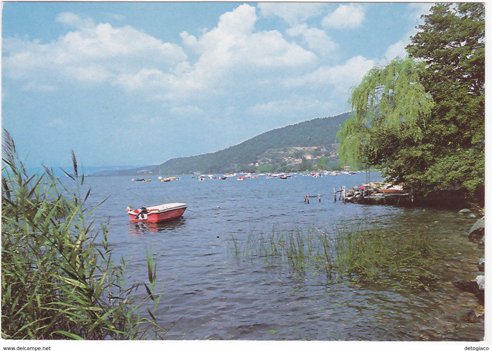 MONTEFIASCONE - VITERBO - LAGO -40749- - Viterbo