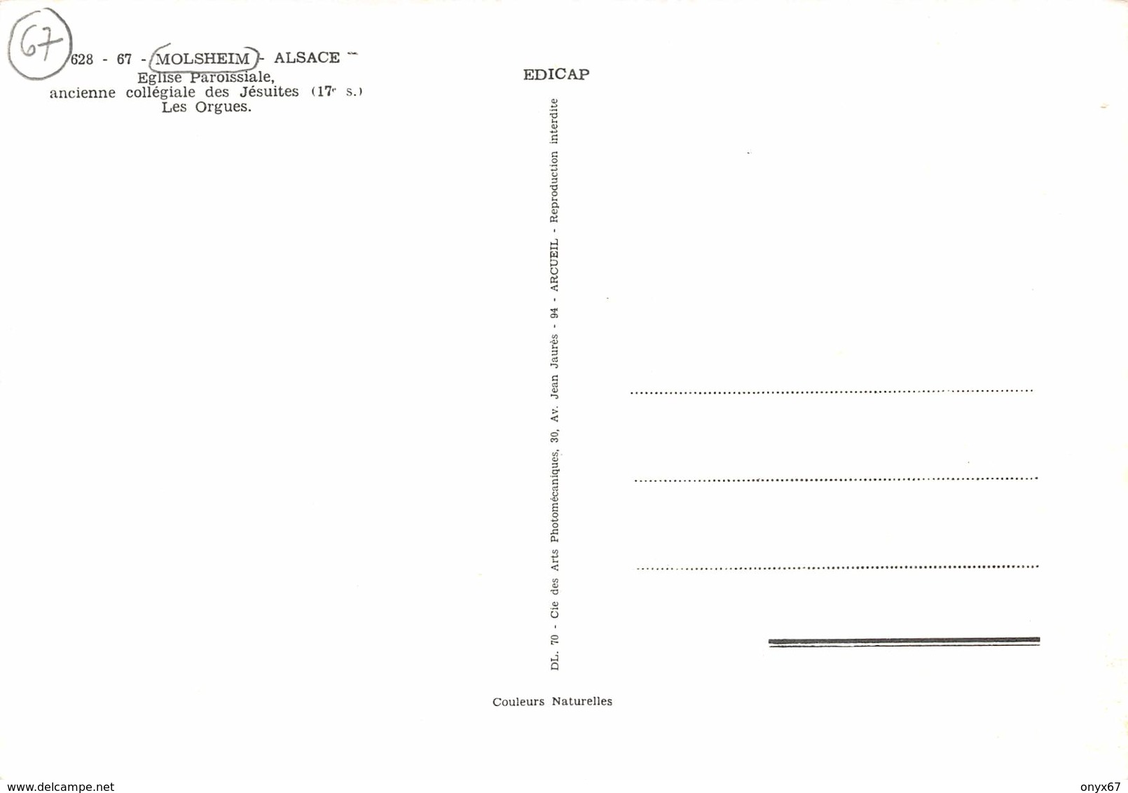 CP GF-MOLSHEIM (67-Bas-Rhin) ORGUES-ORGUE--ORGEL-ORGAN-INSTRUMENT-MUSIQUE - Molsheim