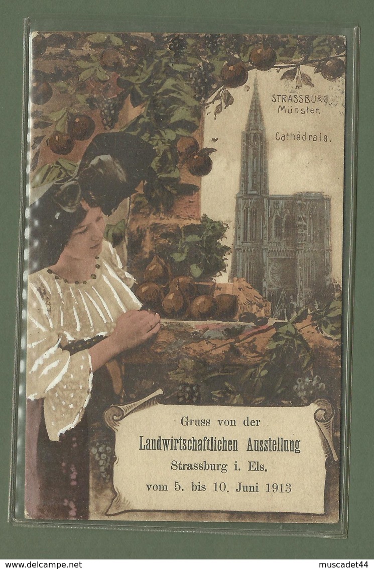 CARTE POSTALE 67 BAS RHIN STRASBOURG FETE AGRICOLE DU 5 AU 10 JUIN 1913 LANDWIRTSSHAFTLICHEN AUSSTELLUNG - Strasbourg