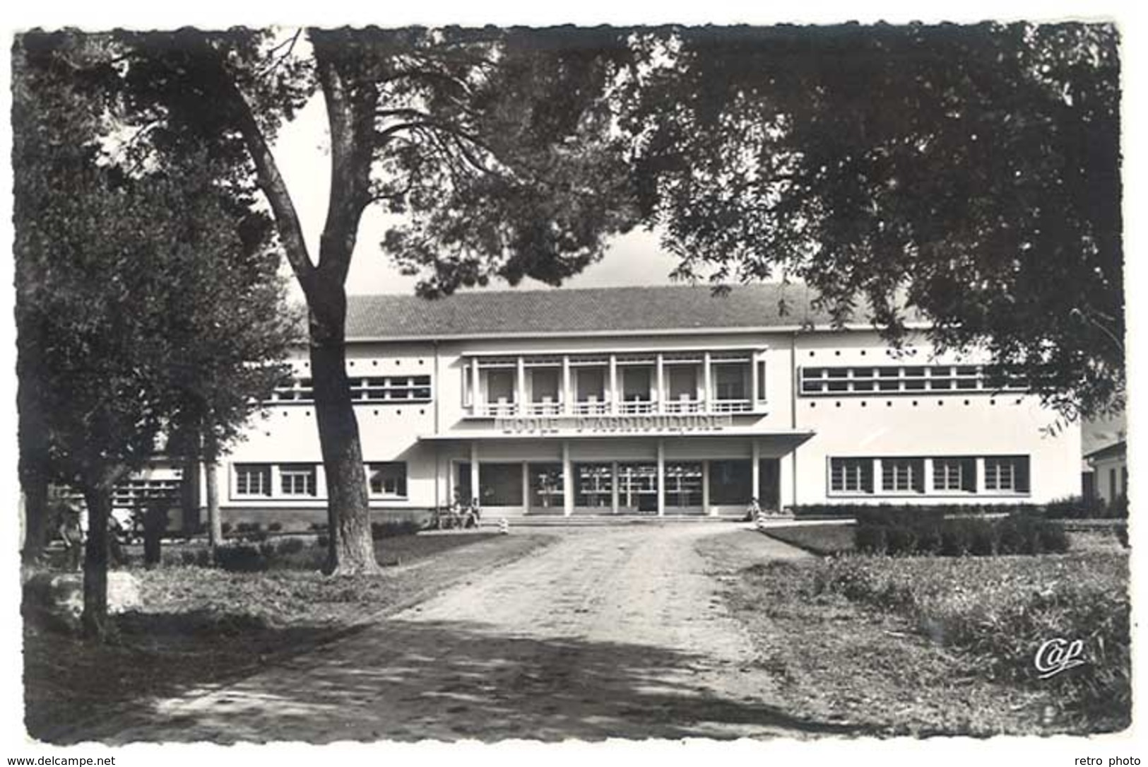 Lot 3 Cpsm Algérie - Guelma - Nouvelle Poste, Ecole D'Agriculture, Banque De L'Algérie - Guelma