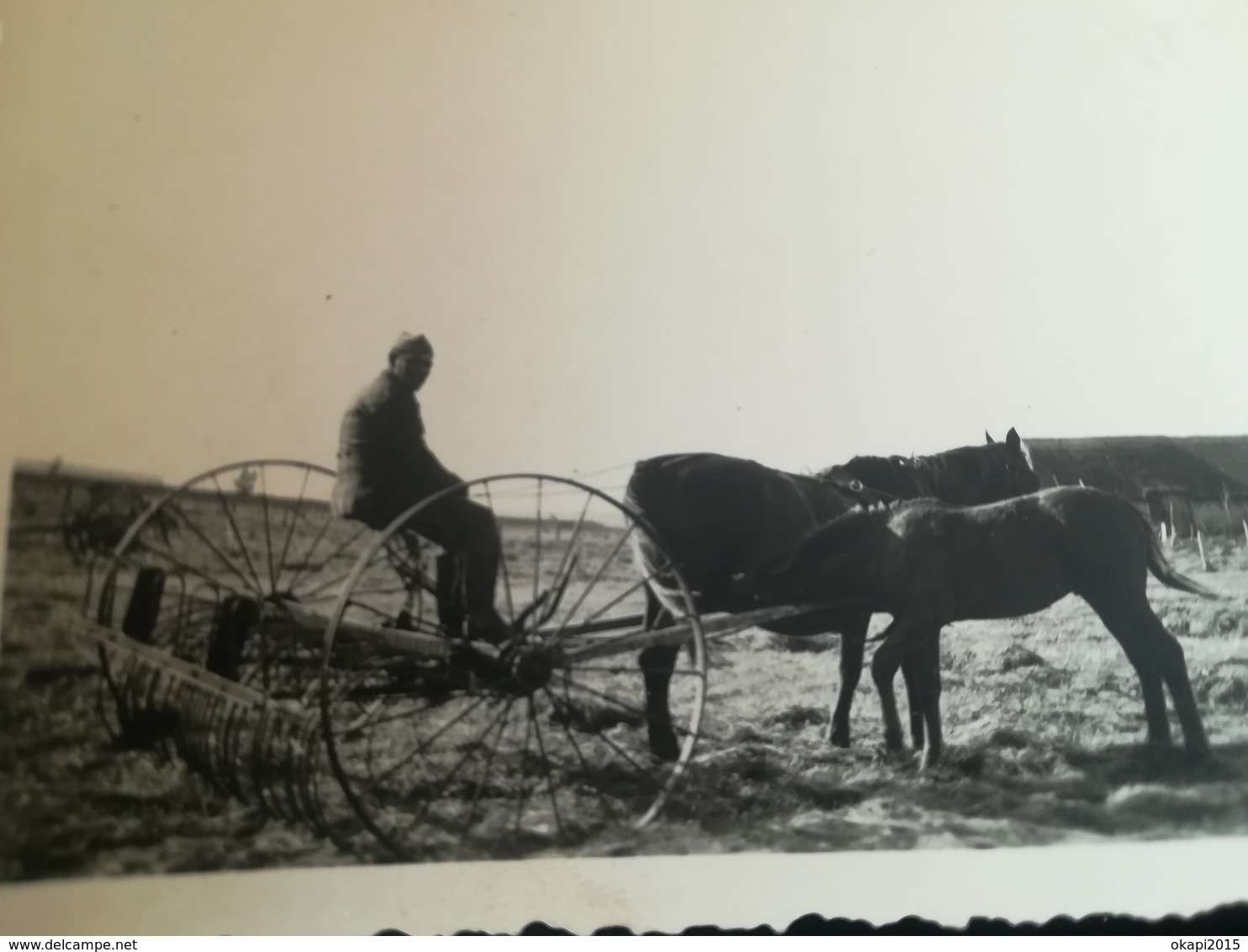 ANCIENNE TECHNIQUE AGRICOLE LABOURAGE CHAMP CHEVAL DE TRAIT HOMME FERMIER MÉTIER MILITAIRE ? BELGIQUE 7 PHOTOS