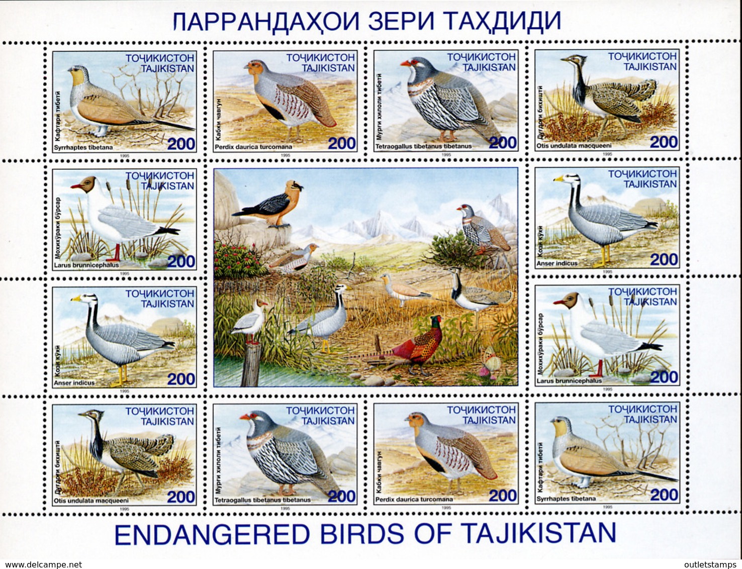 Ref. 149568 * NEW *  - TAJIKISTAN . 1996. 	BIRDS-HUNTING	. AVES-CAZA - Tadjikistan