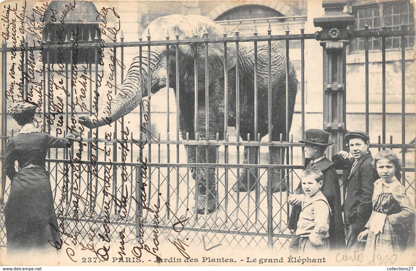 75005-PARIS-JARDIN DES PLANTES- LE GRAND ELEPHANT - Arrondissement: 05