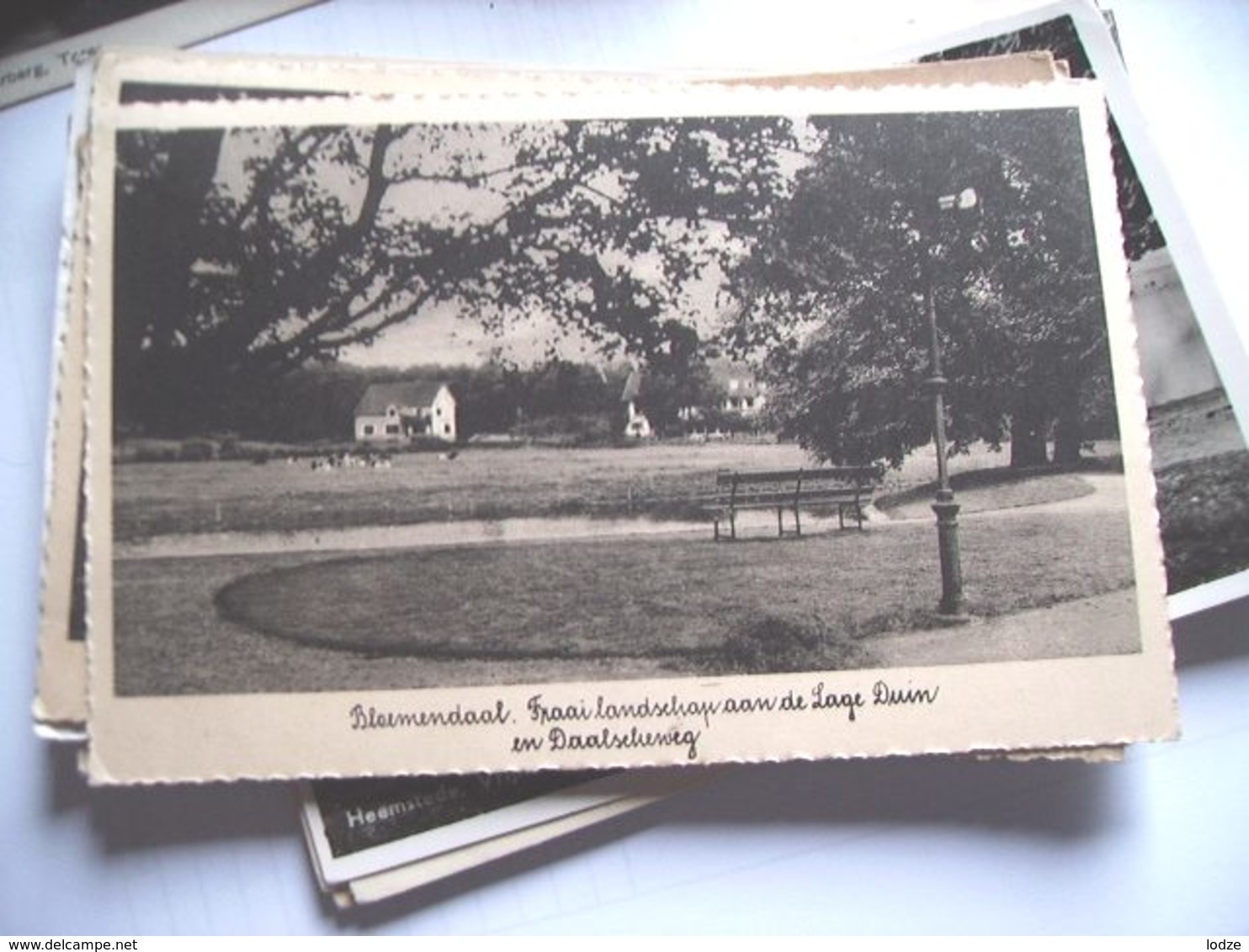 Nederland Holland Pays Bas Bloemendaal Daalscheweg Prachtig Panorama - Bloemendaal