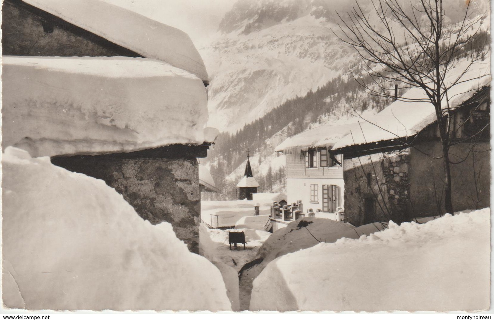 DAV : Haute  Savoie :   LE  TOUR    Sous La  Neige - Sonstige & Ohne Zuordnung