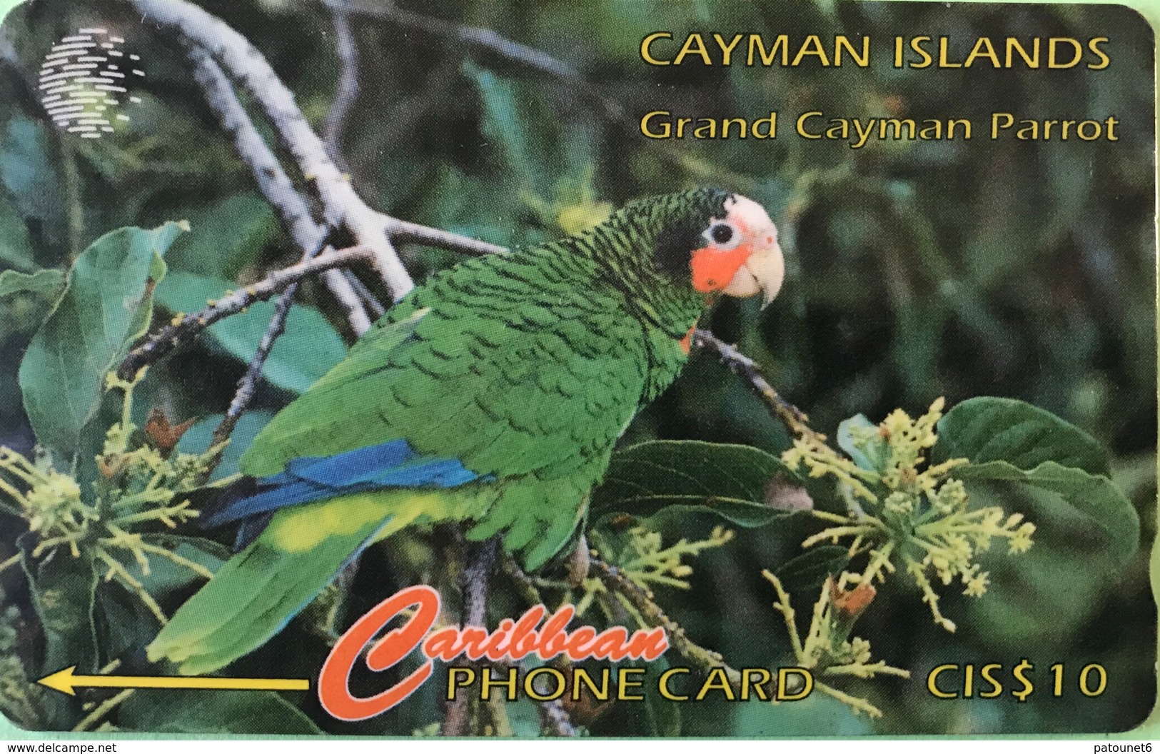 ILES CAYMAN  -  Phonecard  -  Cabble & Wirelees  - Amazona Leucocephala  -  CI $ 10 - Isole Caiman