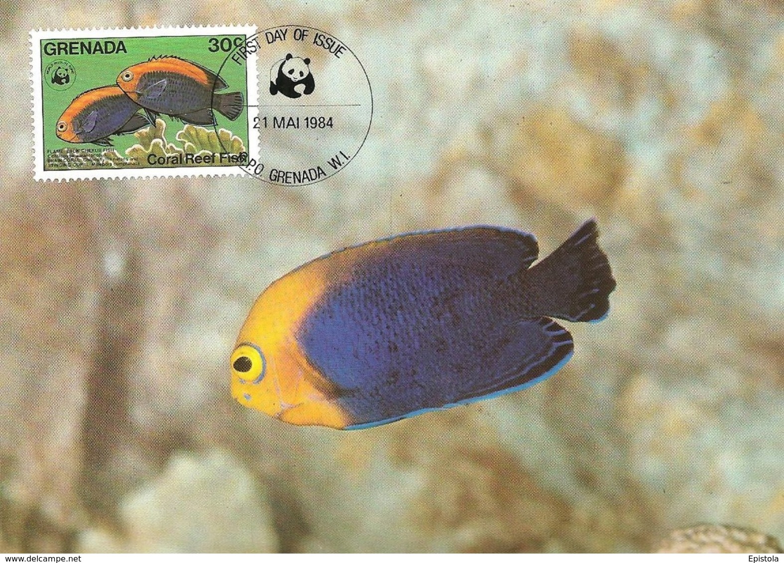 1984 - GRENADA - Ile Grenade - Coral Fleet Fish - Poisson Corail Flameback Cherubfish  WWF - Grenada