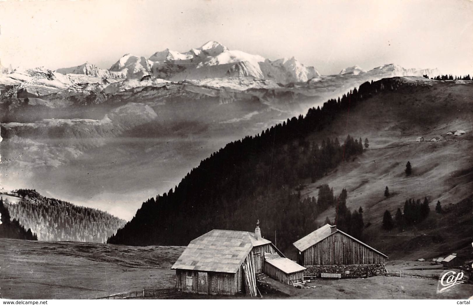 01 - GEX - Col De La Faucille - Panorama Sur Le Mont Blanc - Gex