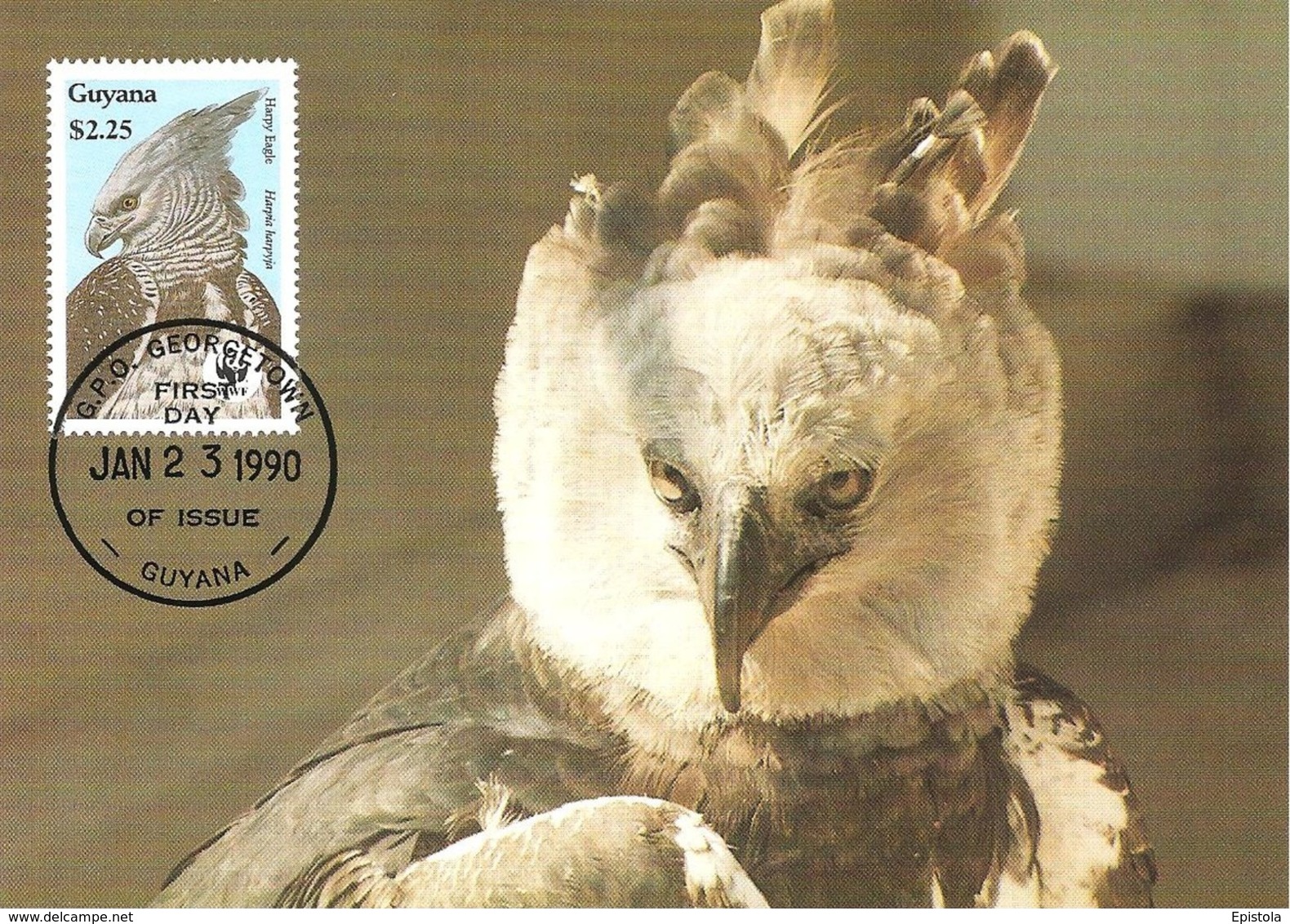 1990 - GUYANA Georgetown - Harpy Eagle Harpie Féroce - Aigle Forestier WWF - Surinam