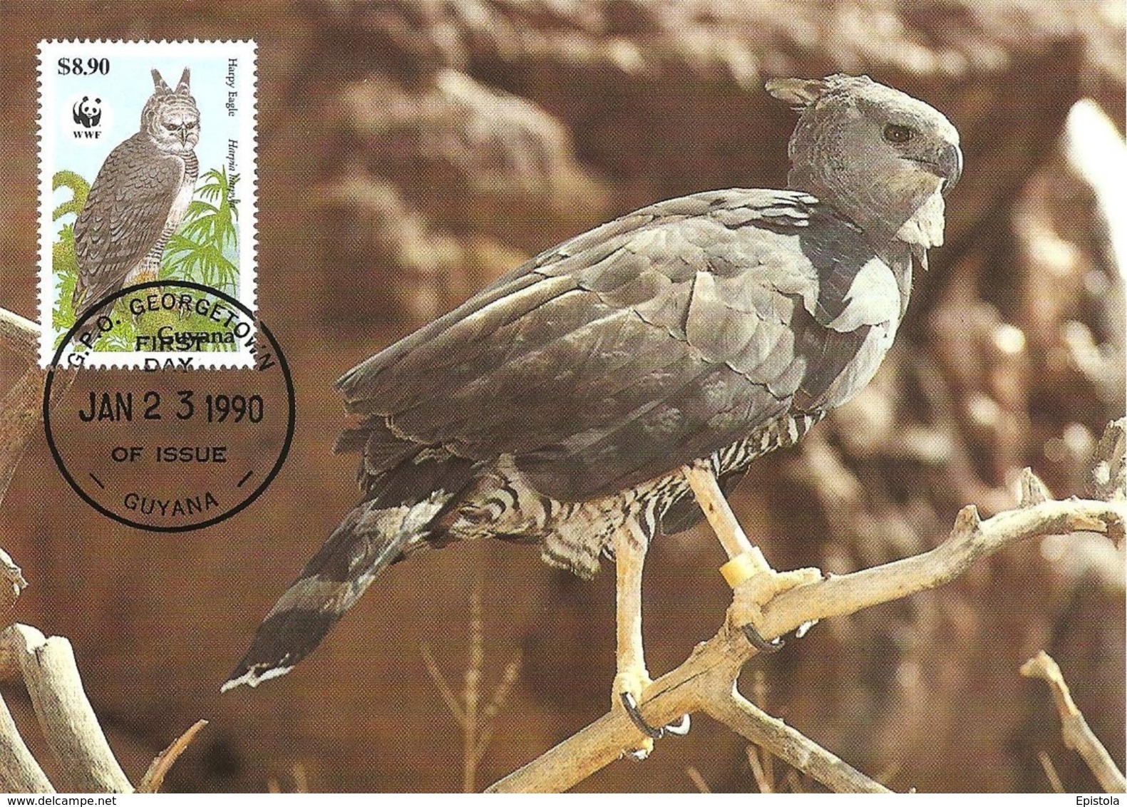 1990 - GUYANA Georgetown - Harpy Eagle Harpie Féroce - Aigle Forestier WWF - Surinam