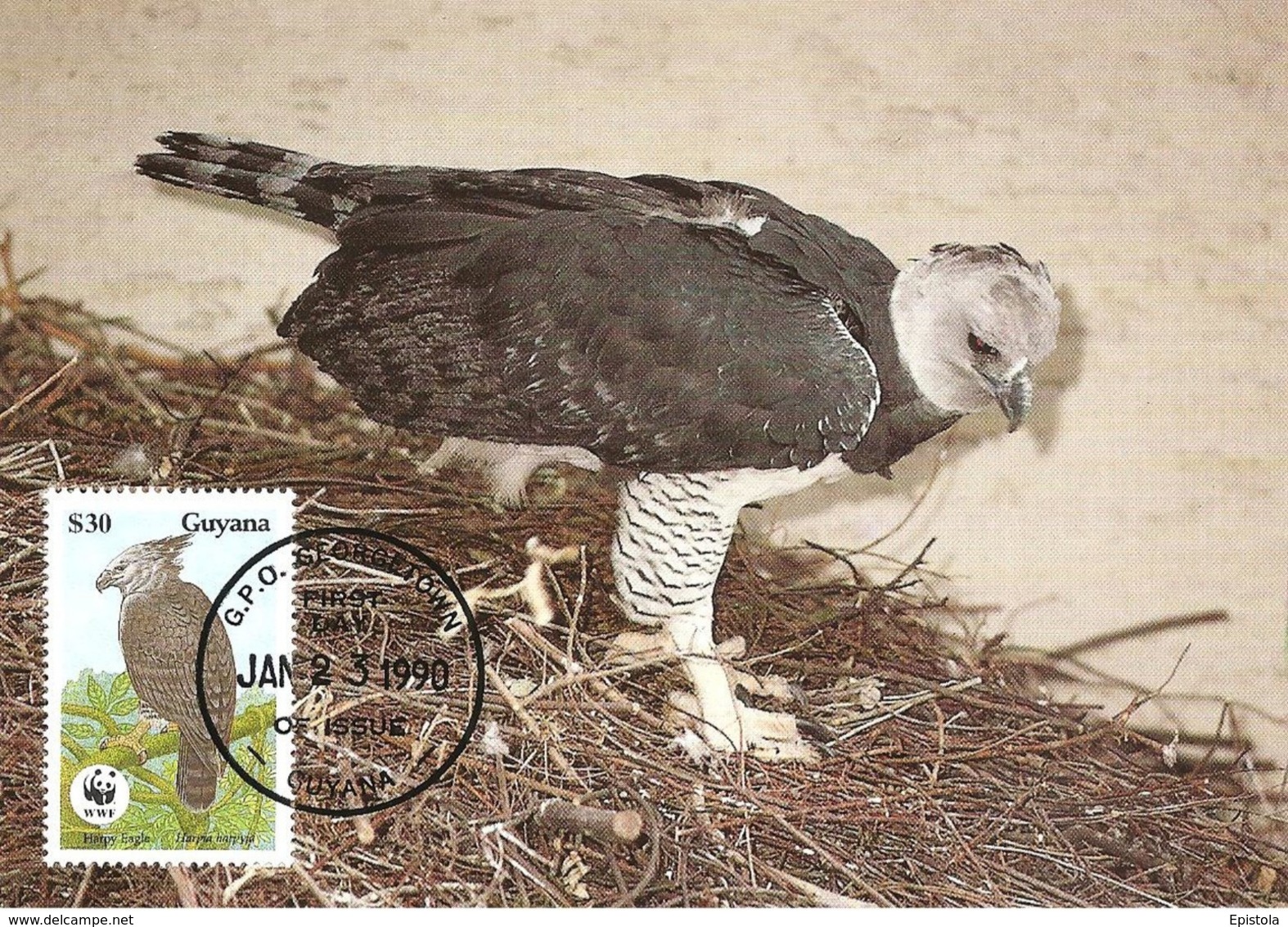 1990 - GUYANA Georgetown - Harpy Eagle Harpie Féroce - Aigle Forestier WWF - Surinam