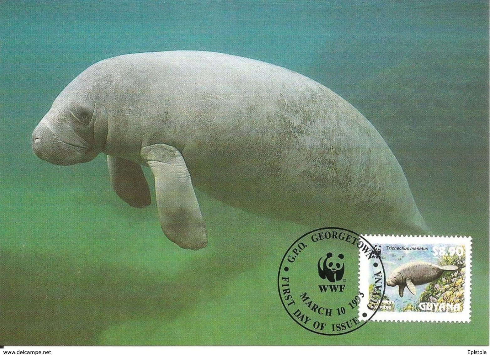 1993 - GUYANA Georgetown - Caribbean Manatee - Lamantin D'amérique Du Nord WWF - Surinam