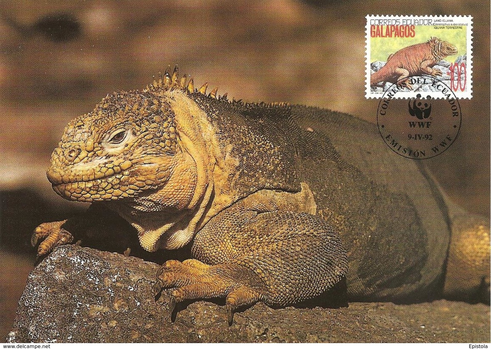 1992 - GALAPAGOS - Land Iguana - Iguane Terrestre  WWF - Equateur