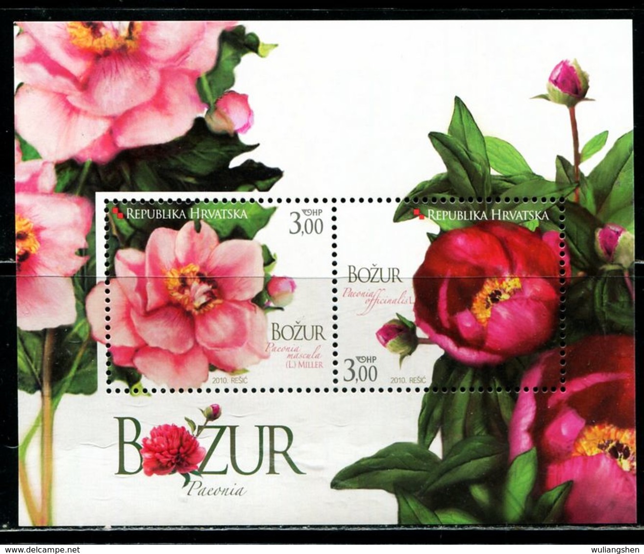 XB0406 Croatia 2010 Flowers S/S MNH - Kroatië