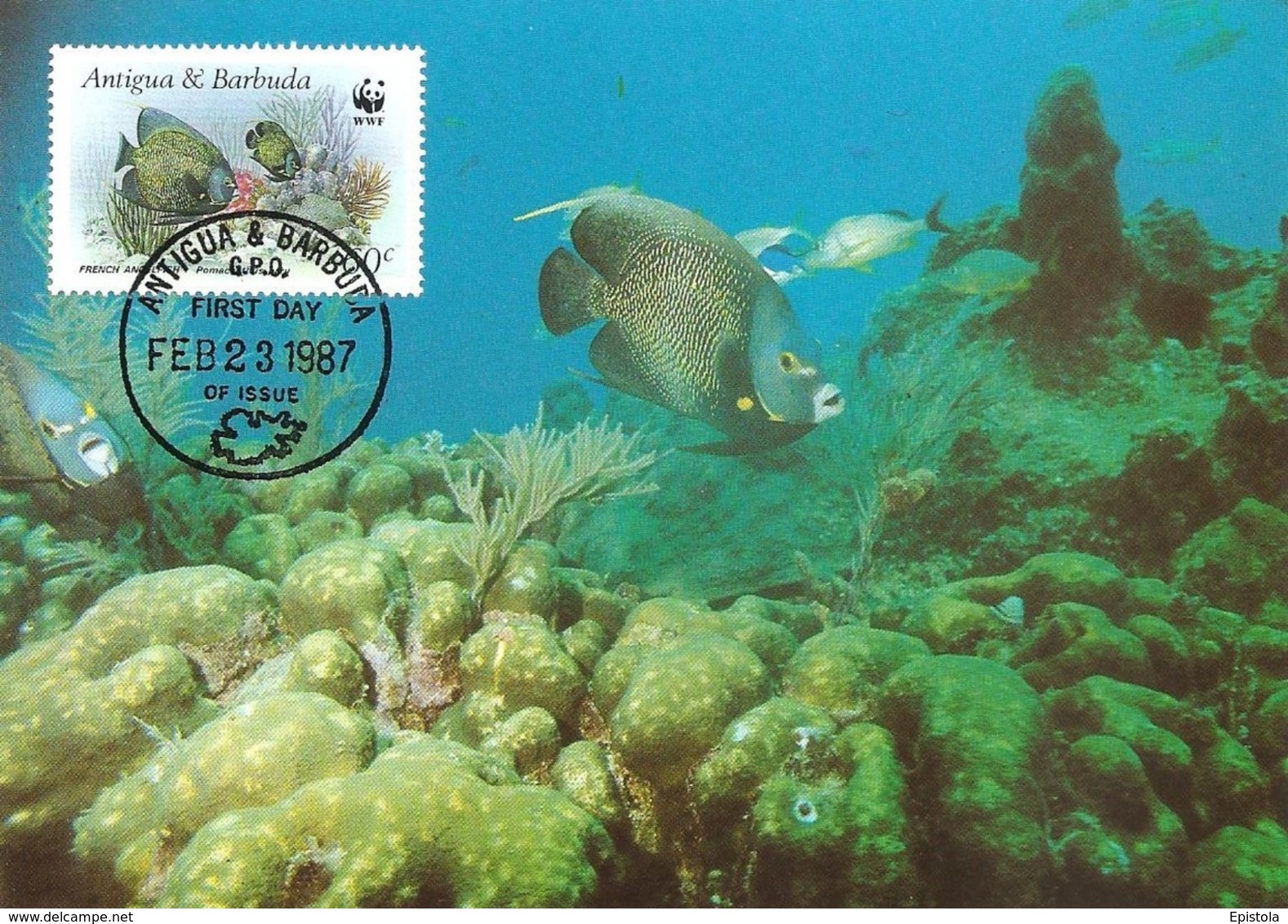 1987 - Antigua & Barbuda - Fond Sous Marin Poisson French Angelfish WWF - Antigua & Barbuda