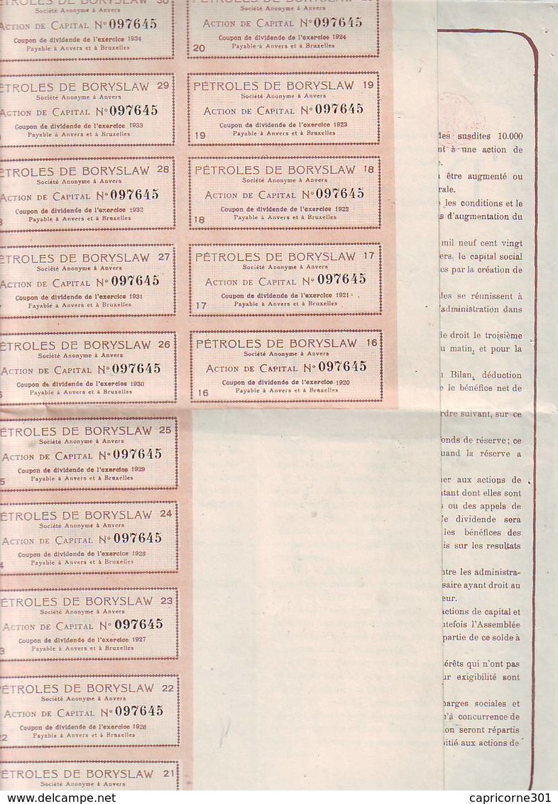 Pétrole De BORYSLAW Action De 100 Frs Anvers (Relgique) 1905 - Pétrole