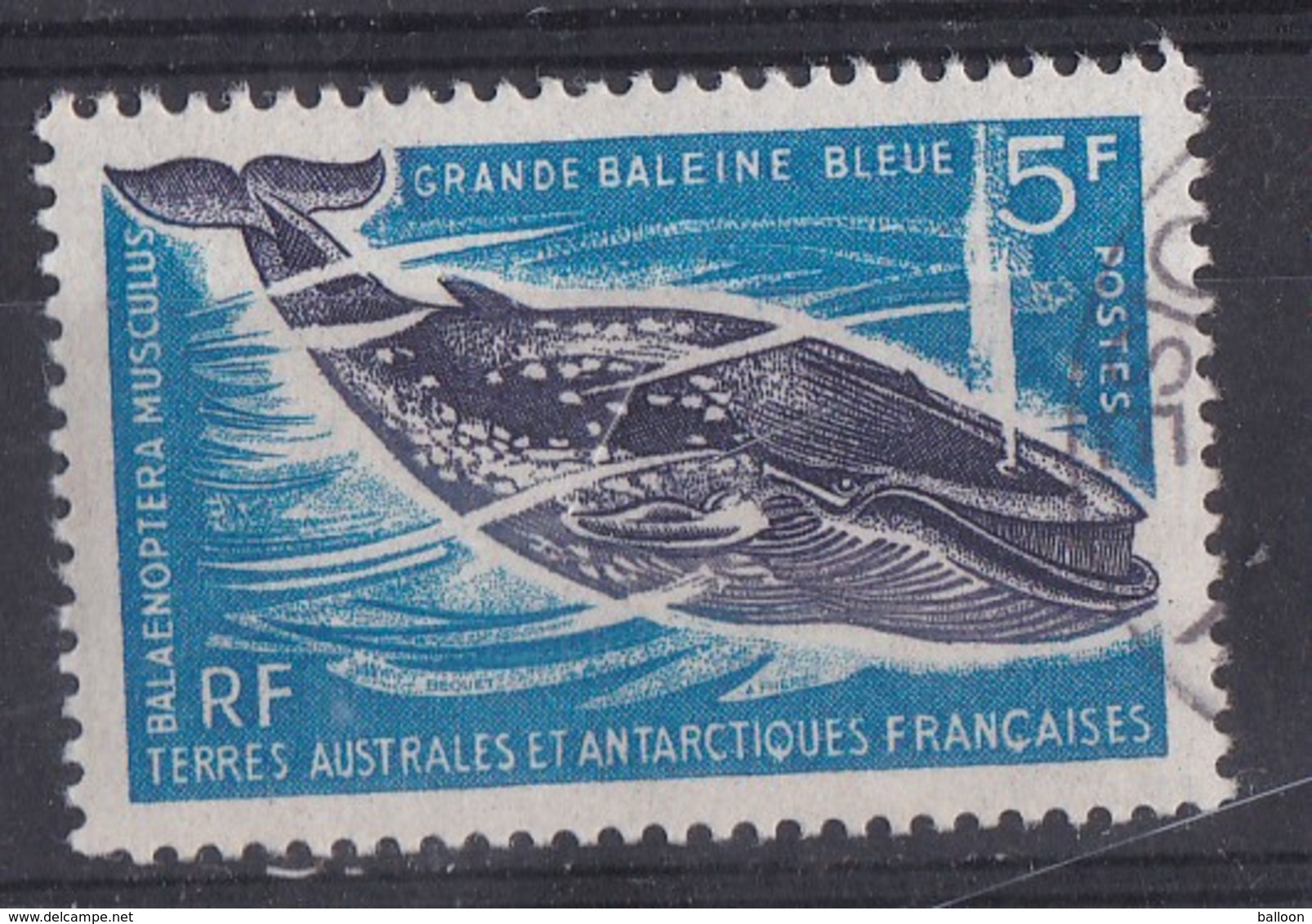 TAAF - N° 22 - Grande Baleine Bleue - 20 % De La Cote - Gebraucht