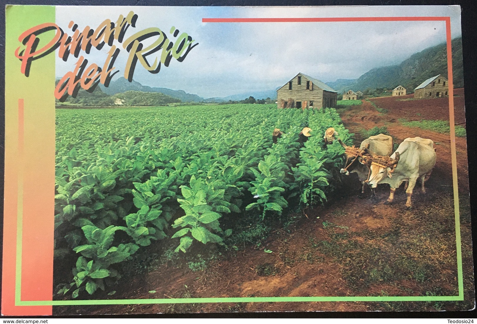 Cuba. Pinar Del Rio. Año 1996. - Cuba