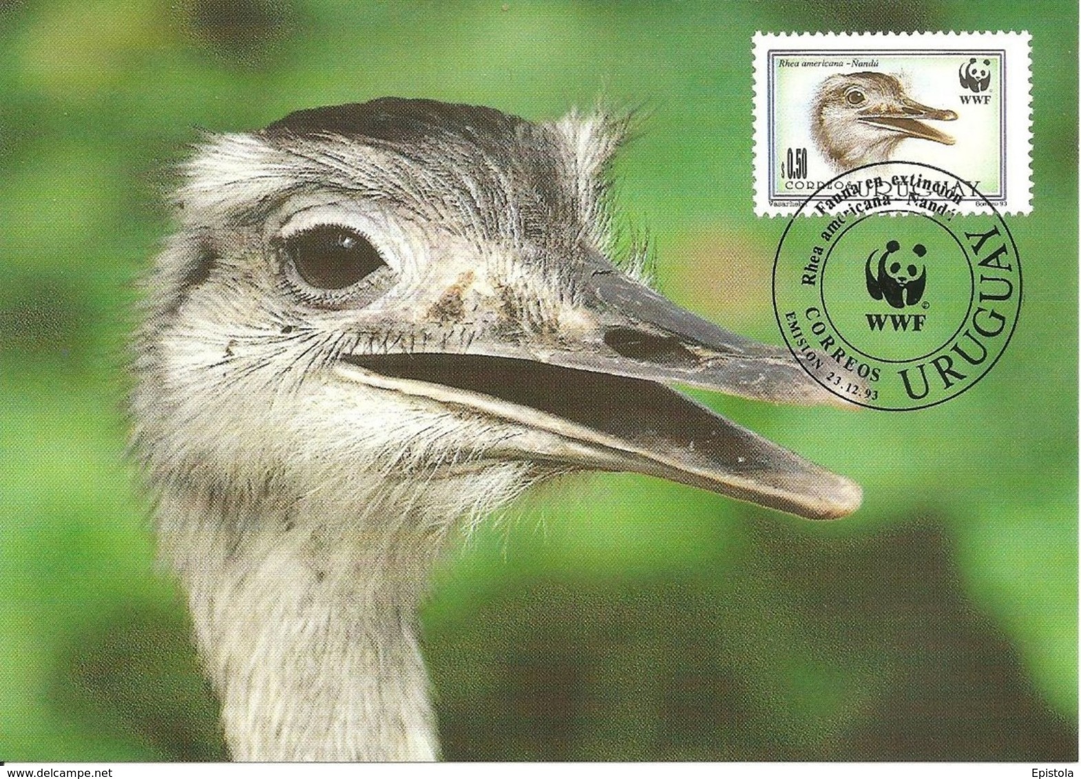 1993 - URUGUAY - Correos - Nandou Américain - Greater Rhea Nandu  WWF - Uruguay