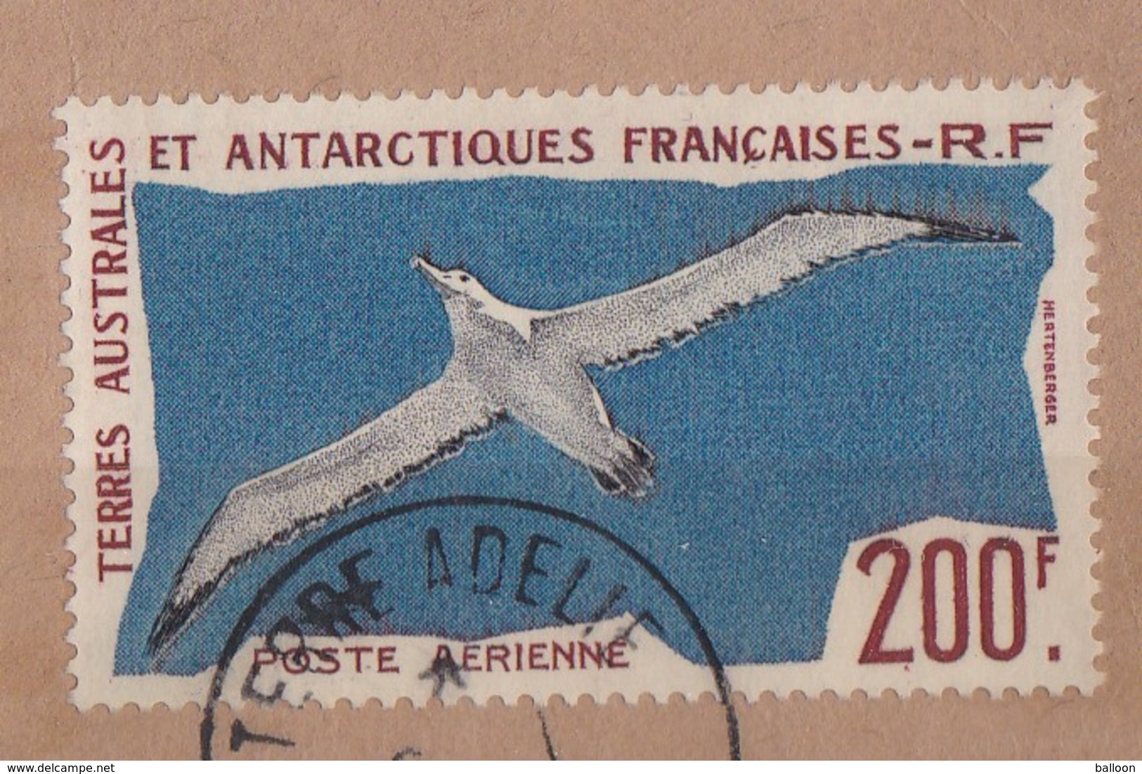 TAAF - N° PA 4 - Grand Albatros - 20 % De La Cote - Used Stamps