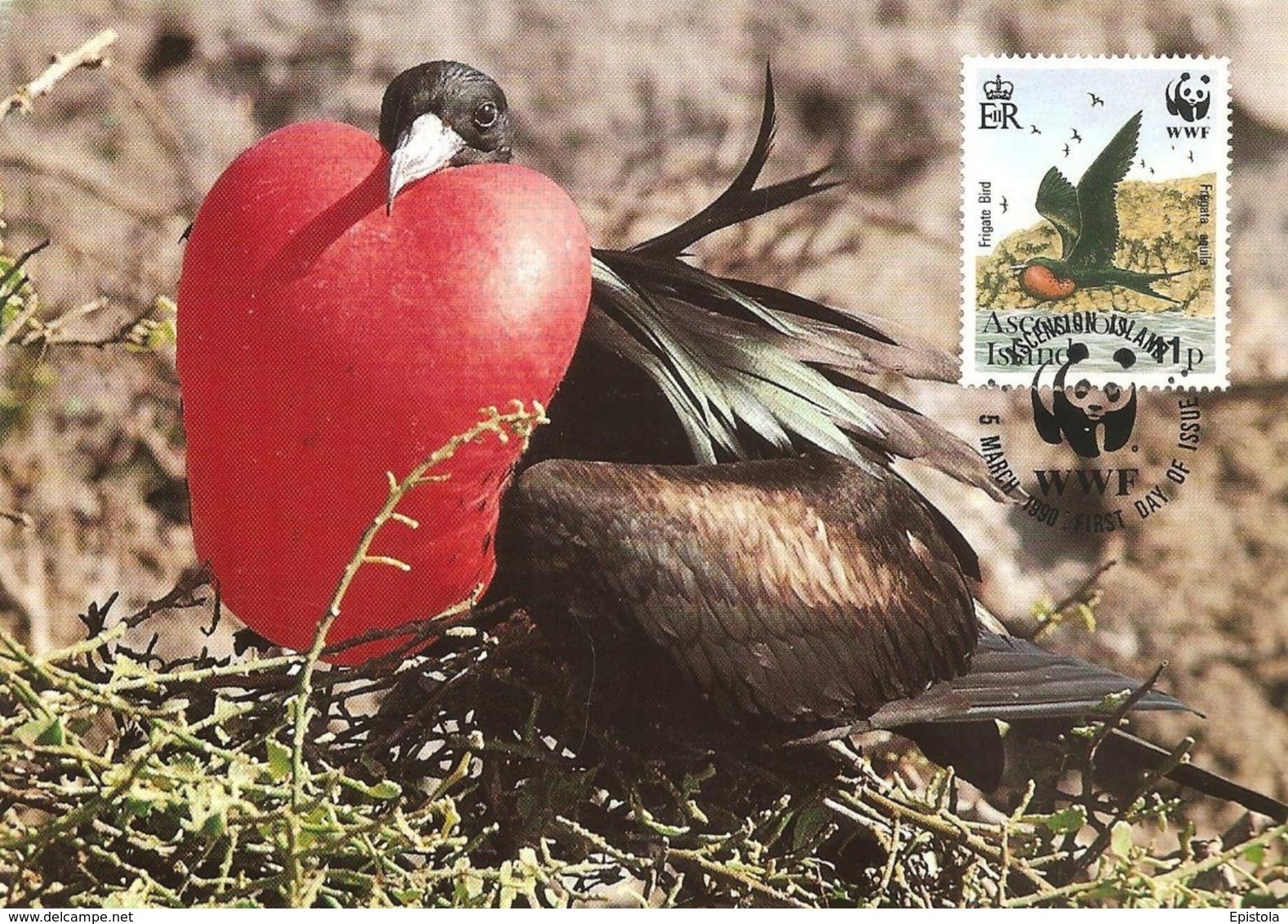 1990 - Ascension Island - Greater Frigatebird - Oiseau Fregate Nid  WWF - Ascension