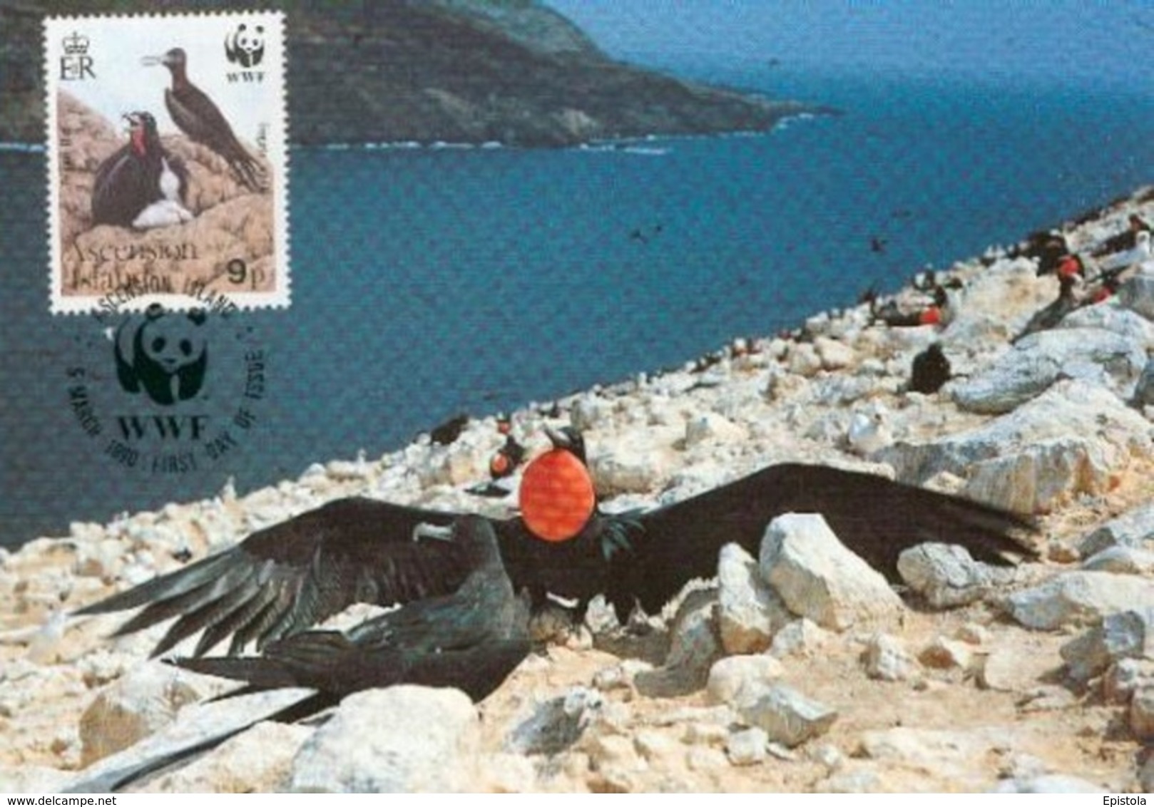 1990 - Ascension Island - Greater Frigatebird - Oiseau Fregate Nid  WWF - Ascension (Ile)