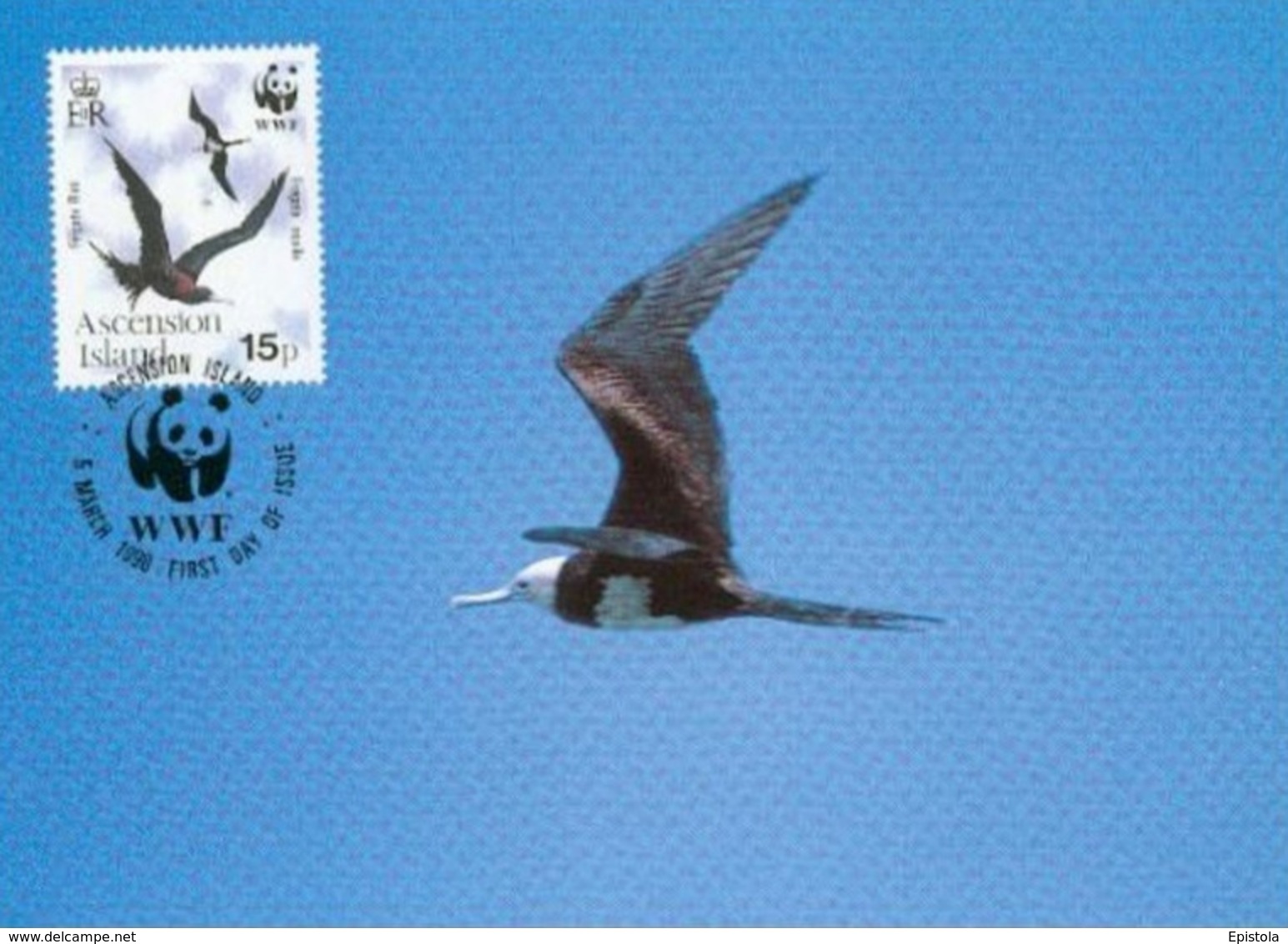 1990 - Ascension Island - Greater Frigatebird - Oiseau Fregate Nid  WWF - Isla Ascensión