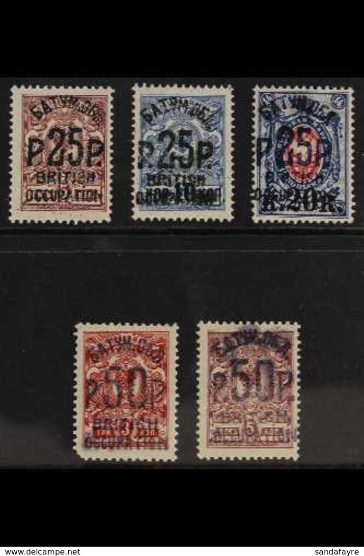 1920 (Jan-Feb) All Different Fine Mint Group Of Local Overprints, Comprising 1920 25r On 5k & 25r On 10k On 7k Opts In B - Batum (1919-1920)