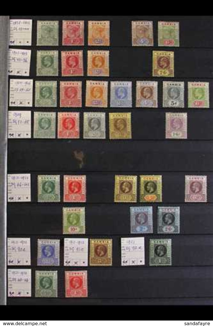 1898-1965 FINE MINT COLLECTION On Stock Pages, We See 1898-1902 Values To 6d, KEVII Values To 2s6d, KGV To 2s6d Values,  - Gambie (...-1964)