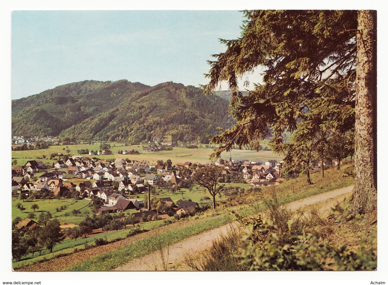 Bleibach (Gutach Im Breisgau)  - Panoramablick - Gutach (Breisgau)