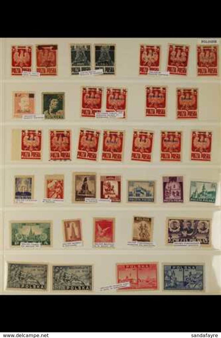 1941-1946 FINE MINT & NHM COLLECTION On Stock Pages, All Different, Includes 1945 5z On 25g & 5z On 50g, 1945 Liberation - Other & Unclassified