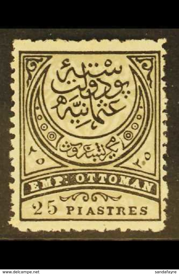 1884-86 25pi Black And Grey-olive Perf 13½ (Michel 50 A, SG 100), Fine Mint, Fresh. For More Images, Please Visit Http:/ - Altri & Non Classificati