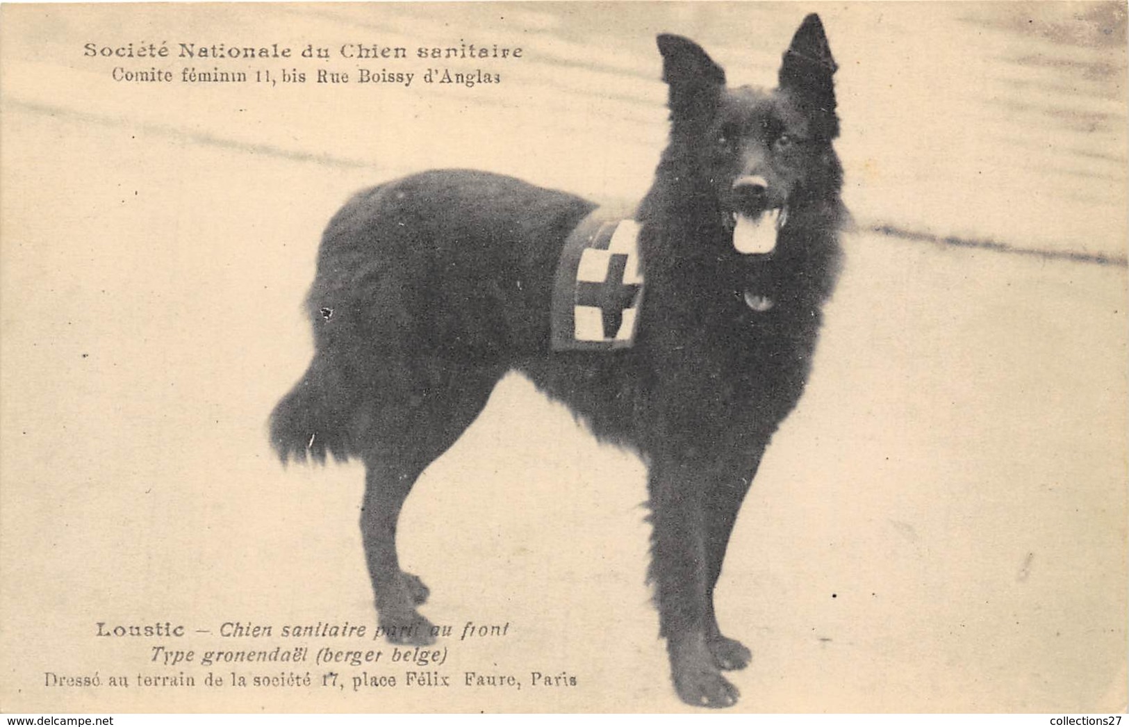 75015-PARIS-11 BIS RUE BOISSY D'ANGLAS, STE NATIONALE DU CHIN SANITAIRE, LOUSTIC CHIEN SANITAIRE PART AU FONT ... - Distretto: 15