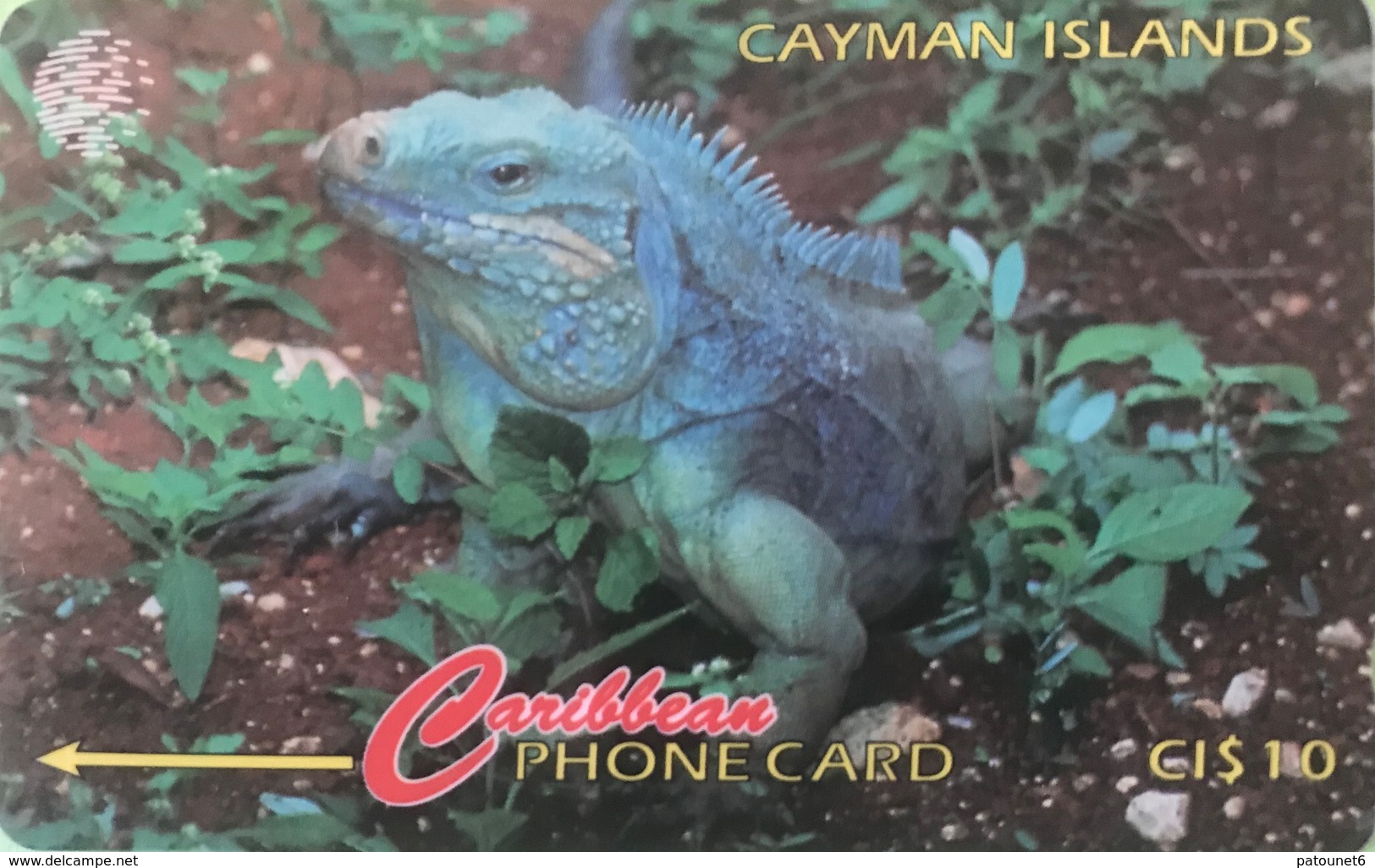 ILES CAYMAN  -  Phonecard  -  Cabble & Wirelees  -  Grand Cayman Iguana  -  CI $ 10 - Isole Caiman