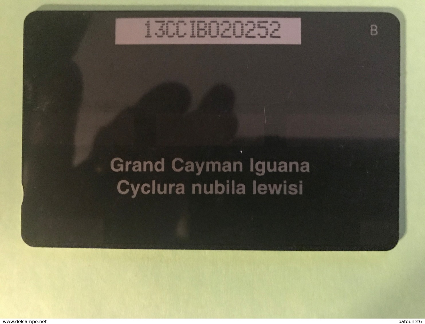 ILES CAYMAN  -  Phonecard  -  Cabble & Wirelees  -  Grand Cayman Iguana  -  CI $ 10 - Kaimaninseln (Cayman I.)