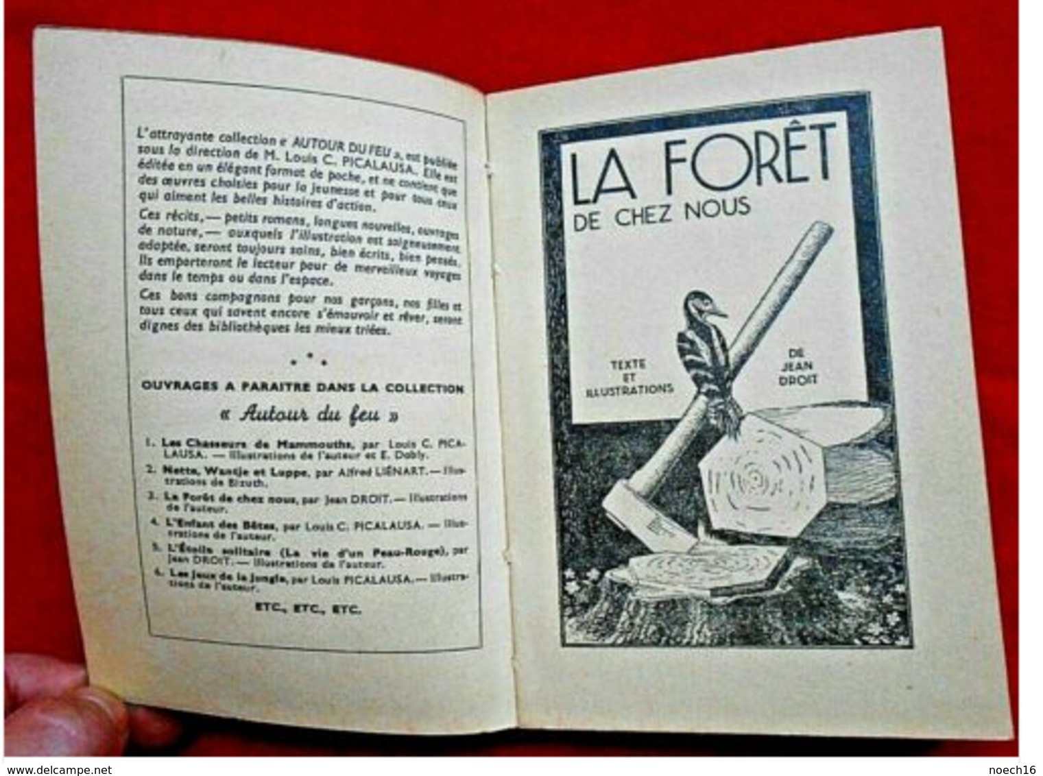 Livre "La Forêt De Chez Nous" Autour Du Feu Scoutisme/ Casterman - Padvinderij