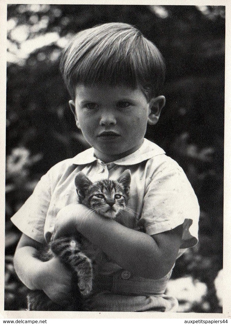 Carte Photo Originale Portrait D'un Jeune Garçon & De Son Chaton Dans Les Bras Vers 1960 - Chat, Minou. - Métiers