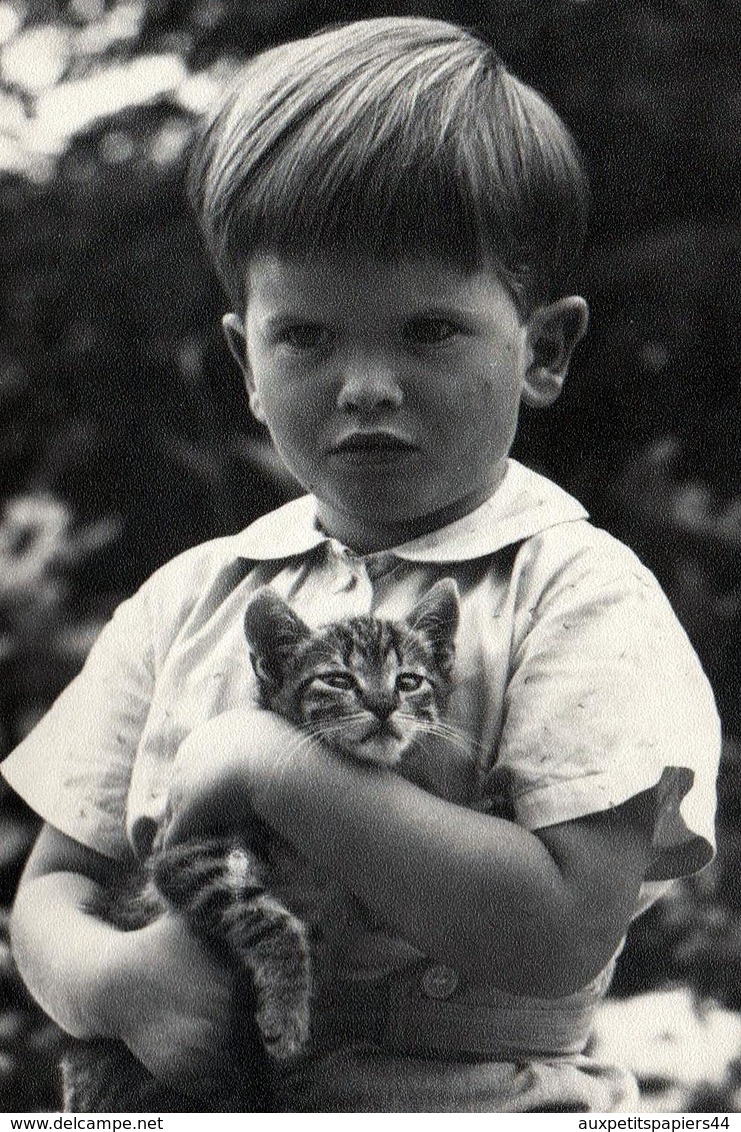 Carte Photo Originale Portrait D'un Jeune Garçon & De Son Chaton Dans Les Bras Vers 1960 - Chat, Minou. - Métiers