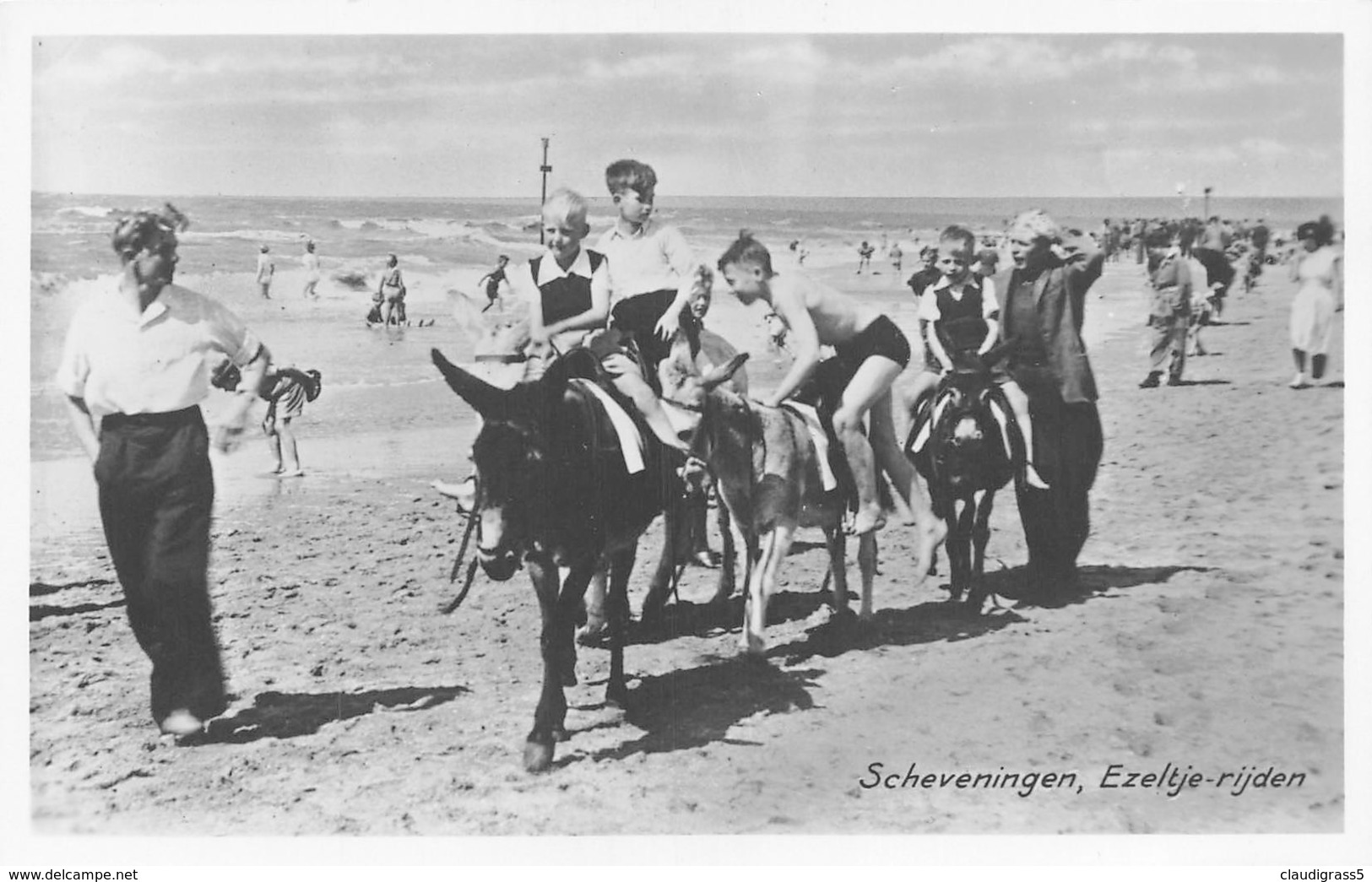 1152 "SCHEVENINGEN (OLANDA ) -EZELTIE-RIJDEN" ANIMATA CARTOLINA  ORIGINALE - Scheveningen