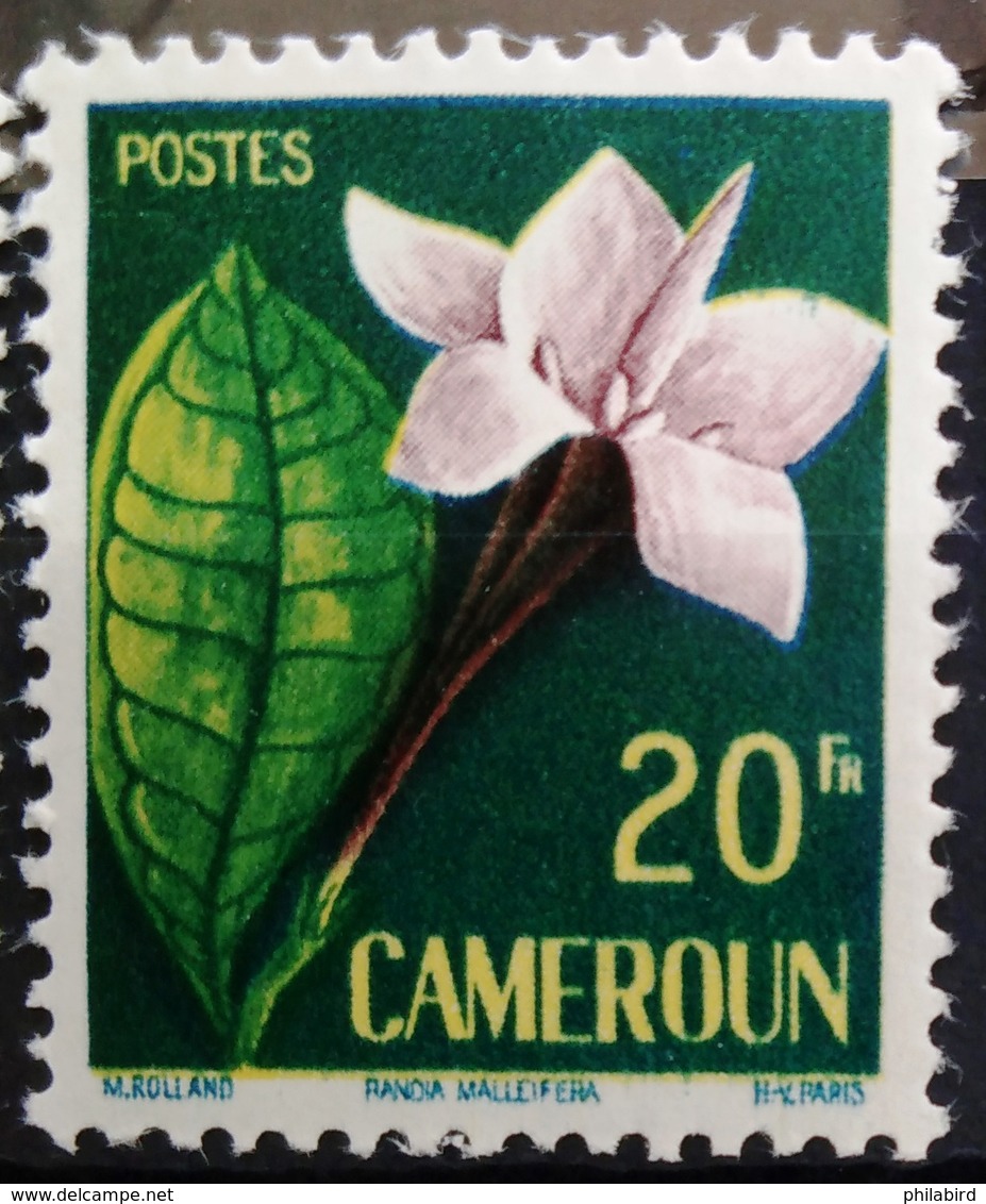 CAMEROUN                    N° 307                   NEUF** - Cameroun (1960-...)