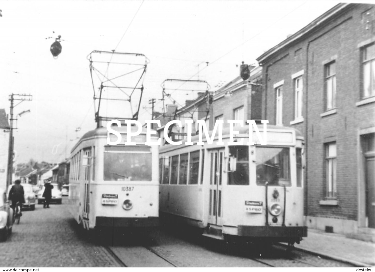 Photo SNCV Tram - Trazegnies - Courcelles