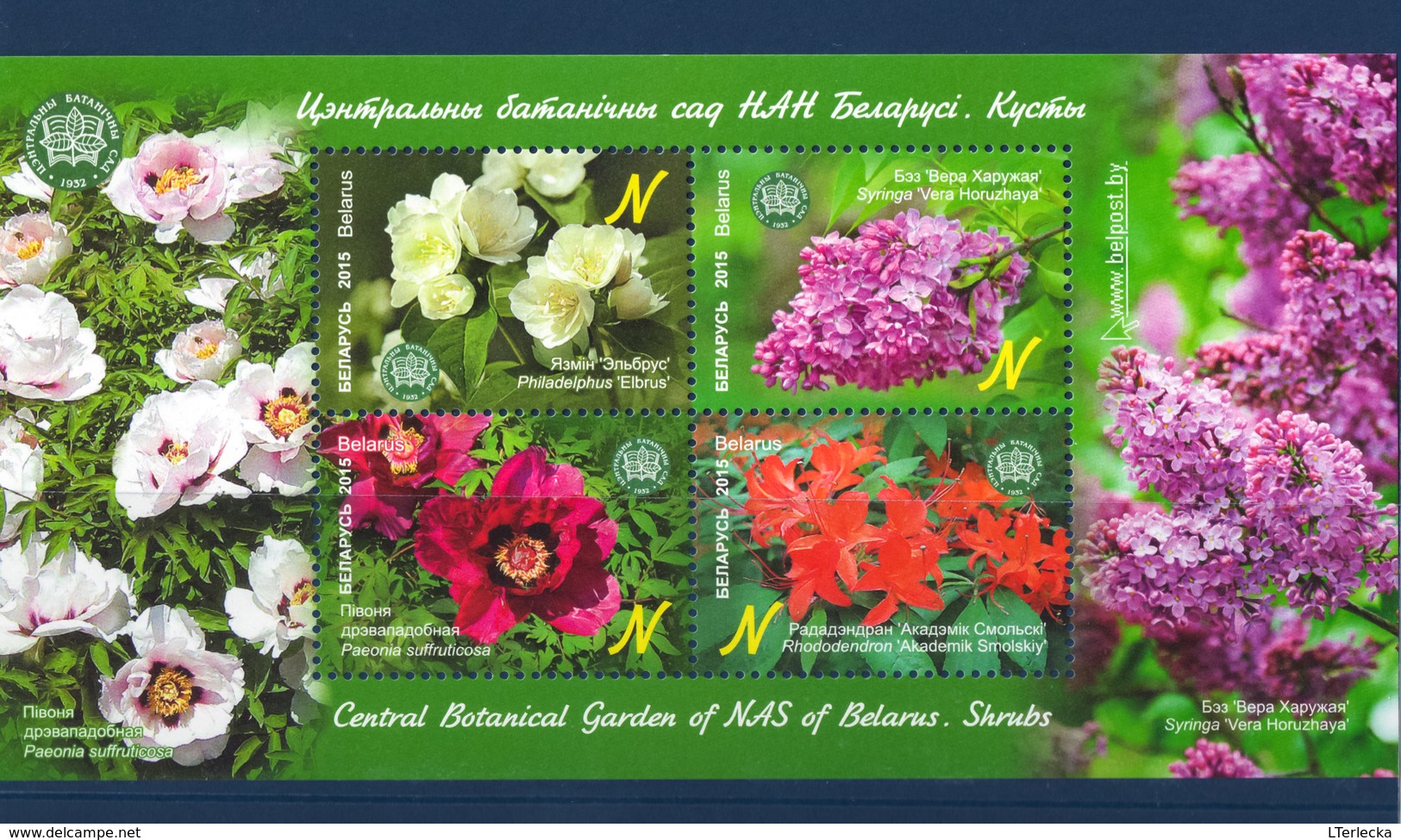 Belarus 2015 - Shrubs. Lily Peony Flowers Struik Lilien Pivoine Paeonia Rhododendron Biélorussie/Wit-Rusland/Bielorussia - Sonstige & Ohne Zuordnung