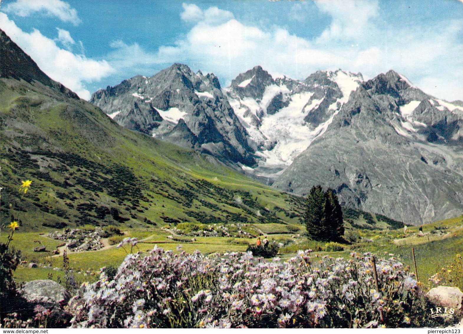 05 - Col Du Lautaret - Jardin Alpin - Otros & Sin Clasificación