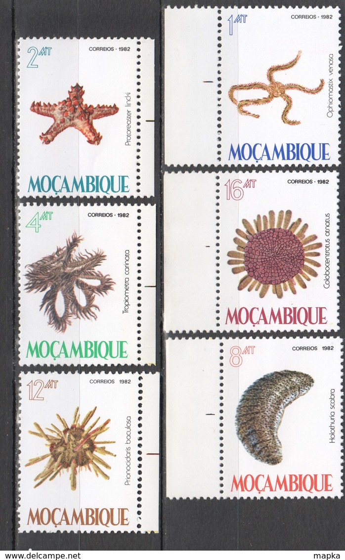 WW663 1982 MOZAMBIQUE MARINE LIFE #913-918 1SET MNH - Marine Life